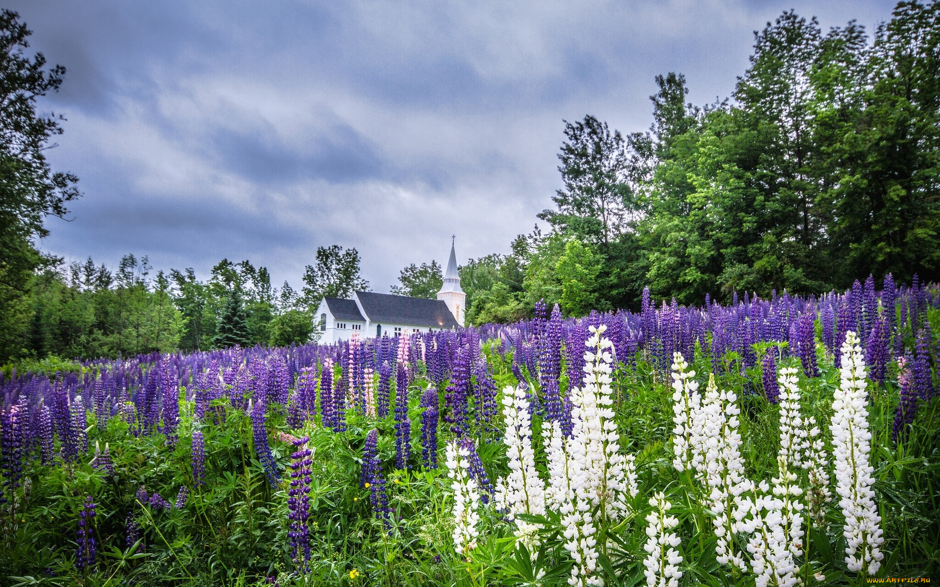 sugar, hill, franconia, new, hampshire, , , , , , saint, matthews, church, , -